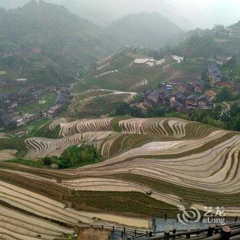 桂林龙胜竹林山居酒店提供图片