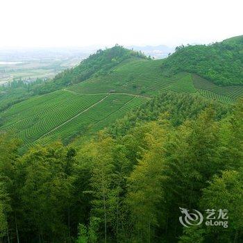 宁波绿野山居度假村酒店提供图片