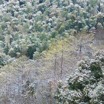 宁波绿野山居度假村酒店提供图片