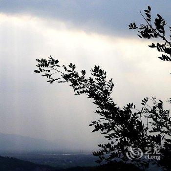 宁波绿野山居度假村酒店提供图片