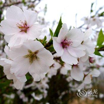 宁波绿野山居度假村酒店提供图片