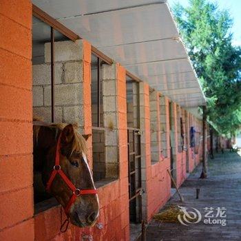 丽江骏逸骑士会度假山庄酒店提供图片