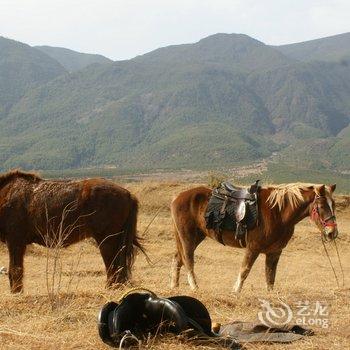 丽江骏逸骑士会度假山庄酒店提供图片