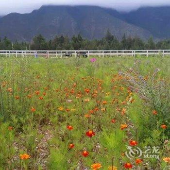 丽江骏逸骑士会度假山庄酒店提供图片