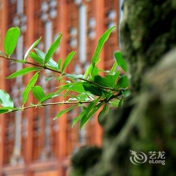 宁波绿野山居度假村酒店提供图片