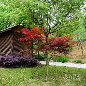 宁波绿野山居度假村酒店提供图片