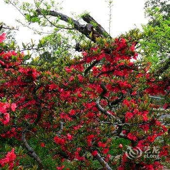 宁波绿野山居度假村酒店提供图片