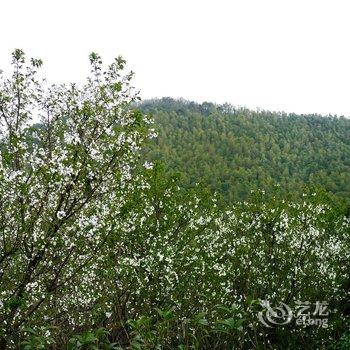 宁波绿野山居度假村酒店提供图片