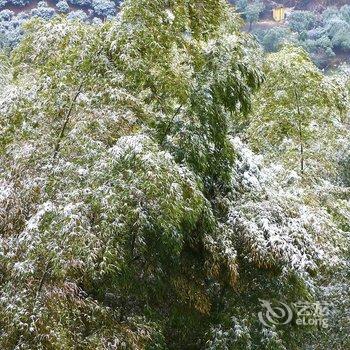 宁波绿野山居度假村酒店提供图片