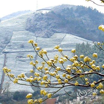 宁波绿野山居度假村酒店提供图片