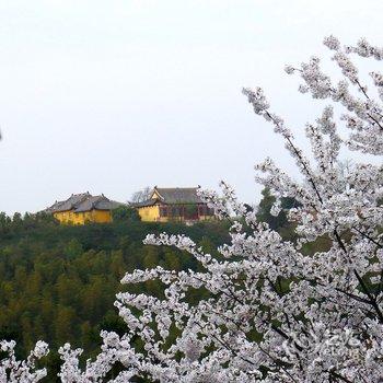 宁波绿野山居度假村酒店提供图片