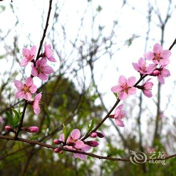 宁波绿野山居度假村酒店提供图片