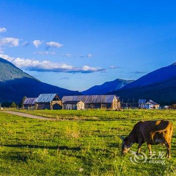 喀纳斯乌云其其格山庄酒店提供图片