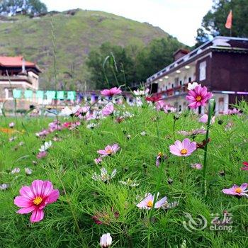 新都桥等枫来客栈酒店提供图片