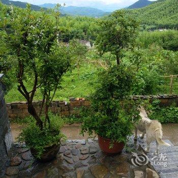 莫干山安馨小居酒店提供图片