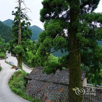 松阳晚秋民宿酒店提供图片