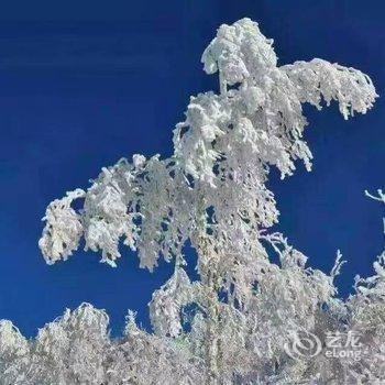 雪乡永安家庭宾馆酒店提供图片