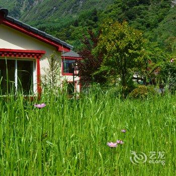 卧龙源生态山庄酒店提供图片