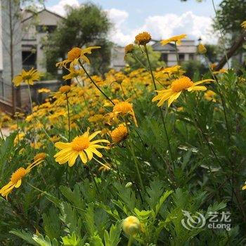 大理璞宿清奢度假山居酒店提供图片