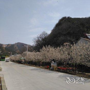 五莲九仙山倩儒酒家(原旭日酒楼)酒店提供图片