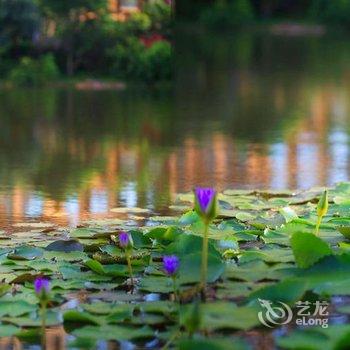 澄迈景园悦海湾度假酒店酒店提供图片