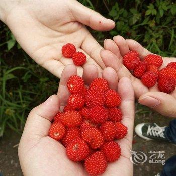 淳安鳌山渔村-淳乡居酒店提供图片