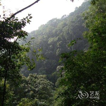 都江堰青城山庄用户上传图片