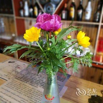 喀纳斯泰加青年旅舍酒店提供图片