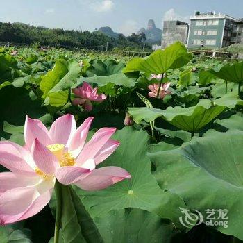 韶关丹霞山如家小歇驿栈酒店提供图片