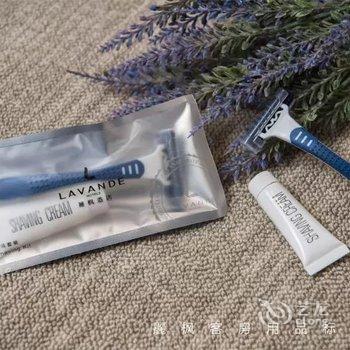 麗枫酒店(广州高铁南站会江地铁站店)酒店提供图片