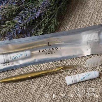 麗枫酒店(广州高铁南站会江地铁站店)酒店提供图片