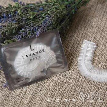 麗枫酒店(广州高铁南站会江地铁站店)酒店提供图片