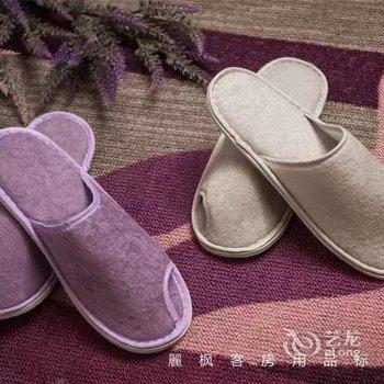 麗枫酒店(广州高铁南站会江地铁站店)酒店提供图片