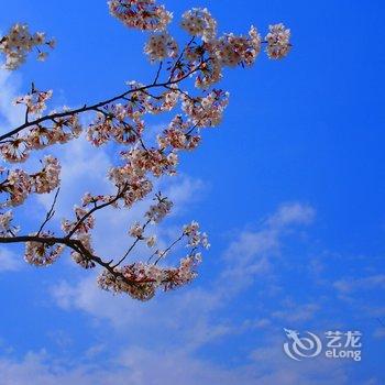 神农架张府驿站酒店提供图片