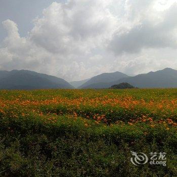 神农架张府驿站酒店提供图片