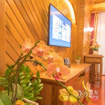 西双版纳椰子情主题客栈酒店提供图片
