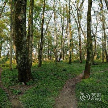 久栖·婺源悦园婺扉民宿酒店提供图片