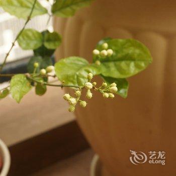 海口琳的房子度假海景公寓酒店提供图片
