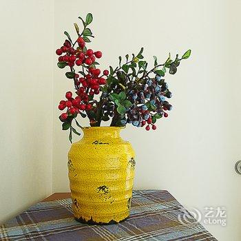 海口琳的房子度假海景公寓酒店提供图片