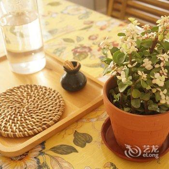 海口琳的房子度假海景公寓酒店提供图片