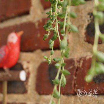 海口琳的房子度假海景公寓酒店提供图片
