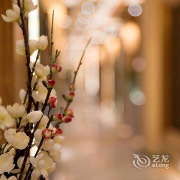 上海0578心宿酒店酒店提供图片