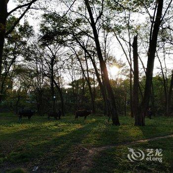 久栖·婺源悦园婺扉民宿酒店提供图片