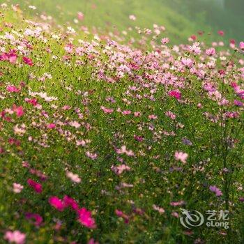 武汉驿山高尔夫酒店酒店提供图片