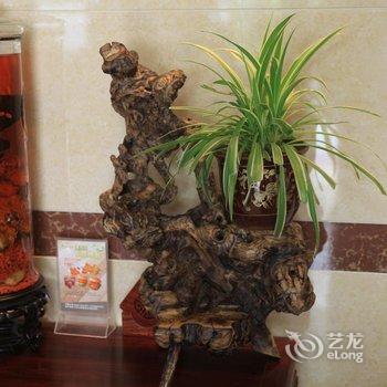 九华山凤形山庄酒店提供图片