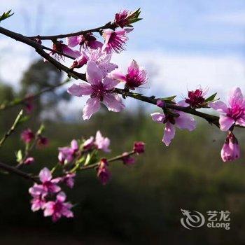 溧阳节节高渔庄酒店提供图片