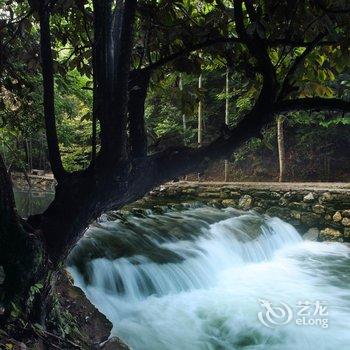 婺源源头古村酒店提供图片