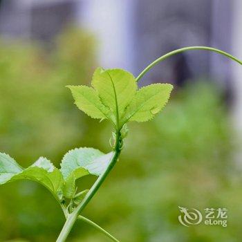 梅州市心庐民宿馆酒店提供图片