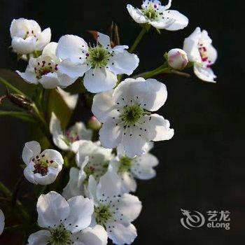 溧阳节节高渔庄酒店提供图片