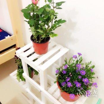 上海极光青年旅舍体育馆店酒店提供图片